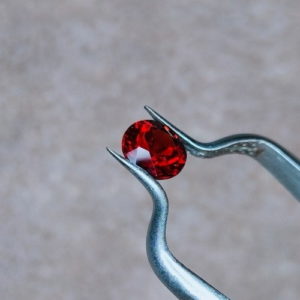 Garnet C0002 3.jpg