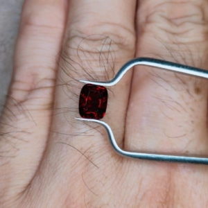 Garnet G0004 3.jpg