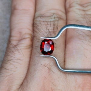 Garnet G0006 3.jpg