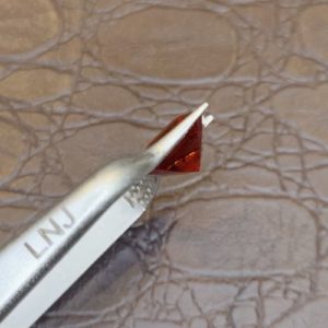 Garnet Len Nhan 12.jpg