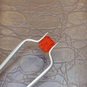 Garnet Len Nhan 19.jpg