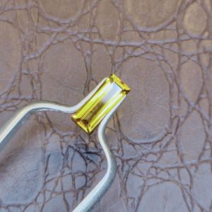 Garnet Len Nhan 48.jpg