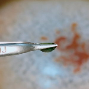 Sapphire Vang Vs008 4.jpg