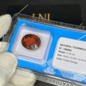 Natural Tourmaline 186900 (3)