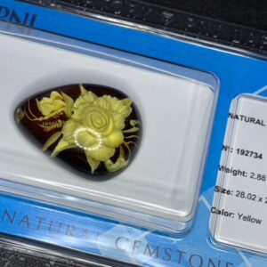 Naturul Amber Vàng 192734 (2)